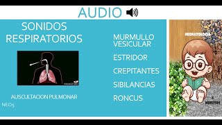 RUIDOS RESPIRATORIOS AUDIO [upl. by Adnirim]