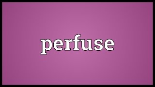 Perfuse Meaning [upl. by Silrak680]