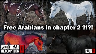 Four free Arabian Horse in chapter 2 in Red Dead Redemption 2 in 2021  Black Arabian RDR2 [upl. by Yarezed]