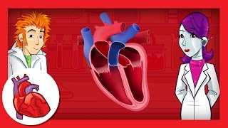 Atrial Septal Defect Repair at SSM Heart Institute [upl. by Atonsah]