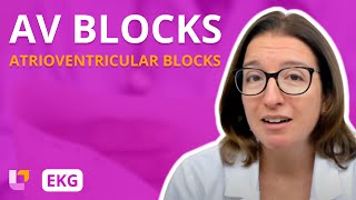 Atrioventricular Blocks AV Blocks  EKG Interpretation  LevelUpRN [upl. by Aldos]