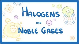 GCSE Chemistry  Halogens and Noble Gases [upl. by Annyrb700]