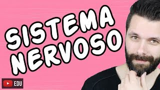 SISTEMA NERVOSO  FISIOLOGIA  Aula  Biologia com Samuel Cunha [upl. by Ause815]