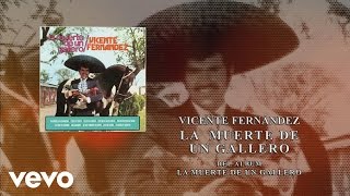 Vicente Fernández  La Muerte de un Gallero Cover Audio [upl. by Novyert]