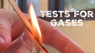 GCSE Science Chemistry 91  Tests for Gases [upl. by Yesnik]