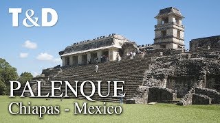 Palenque Tourist Guide 🇲🇽 Mexico Video Guide  Travel amp Discover [upl. by Netsirk390]