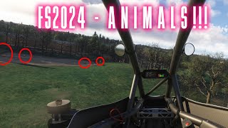 Finding ANIMALS in MSFS2024 [upl. by Humfrey442]