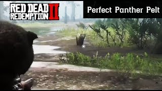 Where To Find A Panther  Red Dead Redemption 2 Perfect Pelt Location Guide RDR2 [upl. by Ecilahc200]