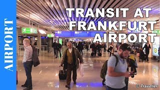 TRANSIT WALK AT FRANKFURT Airport FRA Terminal 1  Connection Flight Transfer Arriving amp Departing [upl. by Maunsell884]